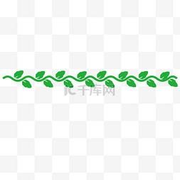 绿色枝藤分割线