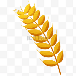 黄色麦子png图片_黄色麦子