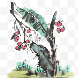 中国风彩色图片_芭蕉树夏天水墨手绘插画