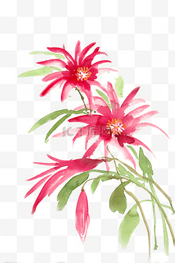 写意国画花卉图片_水彩花卉红色的小花