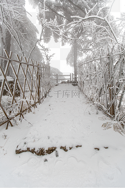 冬天篱笆白雪和树木