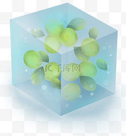 冰块水果冰块水果图片_冰块里的绿葡萄