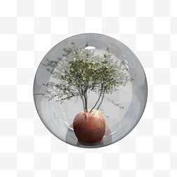 植物工艺品玻璃球