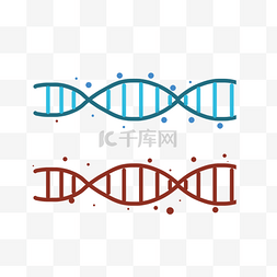 编码图片_DNA双螺旋分子生物学