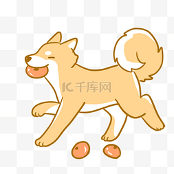 秋天与柿子图片_柴犬与柿子