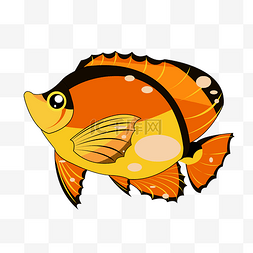 彩色鱼类图片_彩色海洋鱼类