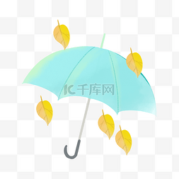 秋季叶子绿色雨伞