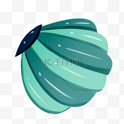 海洋生物绿色贝壳
