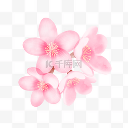 桃花坞写生图图片_水彩粉色桃花