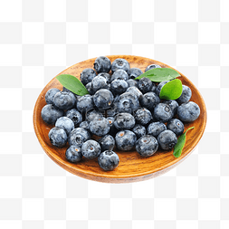 水果蓝莓果实