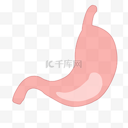 内脏神经系统图片_人体五脏内脏肠胃