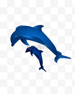 海底小动物图片_卡通灰色海豚插画