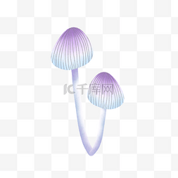 小暑海报简约图片_紫色的蘑菇