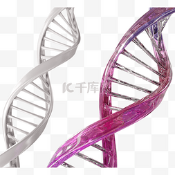 螺旋基因图片_粉色渐变塑料质感dna螺旋3d元素