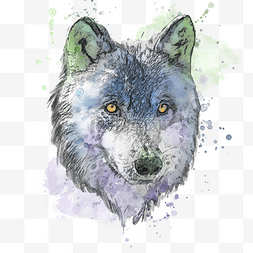 狼头像手绘水彩素描元素
