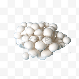 食材食物白色白玉菇蘑菇
