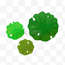 绿叶图片_绿色荷叶池塘圆形