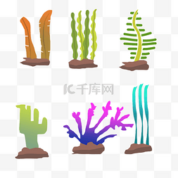 海底海洋植物图片_海草海洋植物