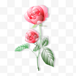 玫瑰花一支图片_一支鲜艳的玫瑰花