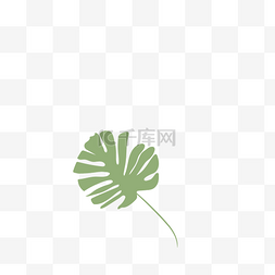 卡通扇形图片_卡通嫩绿色的植物叶子
