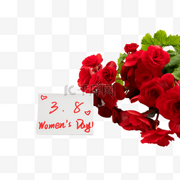 红色妇女节38妇女节图片_38妇女节节日装饰花朵