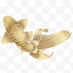 金色鱼锦鱼图片_金色鱼锦鱼