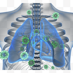 绿色的肺图片_x光片冠状病毒3d元素