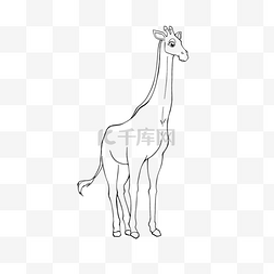 手绘黑白儿童画图片_giraffe clipart black and white 线稿长颈