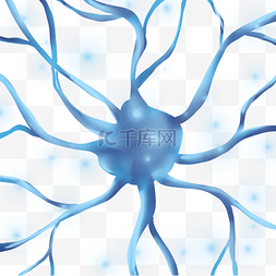 细胞细胞膜图片_蓝色神经元