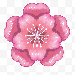 一朵樱花花朵插画