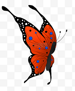 橙色的漂亮蝴蝶插画