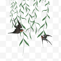 卡通小鸟黑色图片_卡通黑色的燕子和柳树