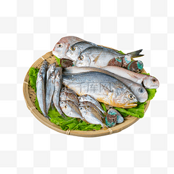 海鲜鱼类食材