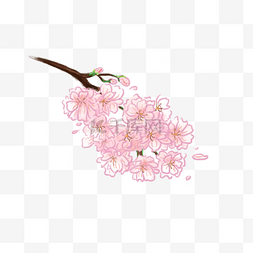 手绘小清新粉色樱花元素装饰PNG