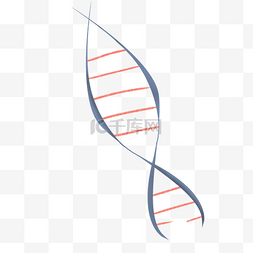 螺旋圈装订图片_基因螺旋基因链