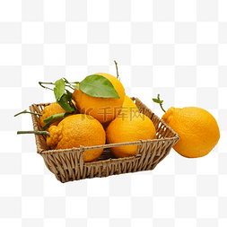 丑橘柑橘