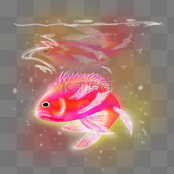 梦幻海洋生物红色鱼