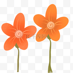 春季植物花卉插画图片_鲜花春季植物插画