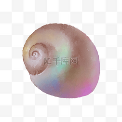 海螺壳图片_水彩七彩海螺