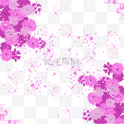 草莓妖姬图片_紫色花瓣