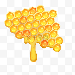 蜂蜜品种图片_蜜蜂酿造蜂蜜
