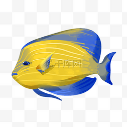 漂亮黄色小鱼
