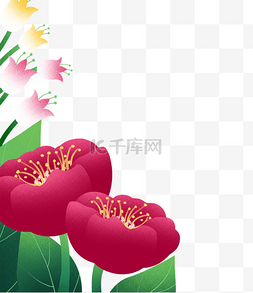 美丽清晰鲜花