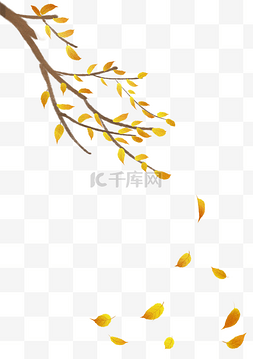 秋天黄色落叶树叶插画