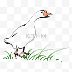 大白鹅在河里图片_大叫的白鹅卡通插画