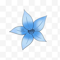 热带植物蓝色花朵植物