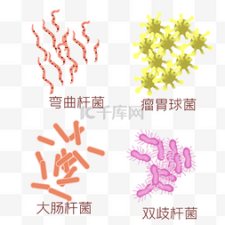 病菌png图片_大肠杆菌弯曲杆菌菌群