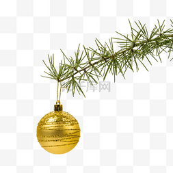 圣诞松枝球图片_松枝上悬挂的圣诞球