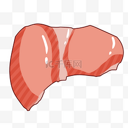 身体卡通身体图片_人体器官胰脏插画