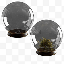 摄影写实图片_透明工艺植物玻璃球